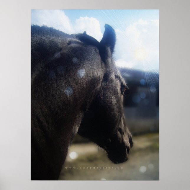 Sunlight - Poster (Front)
