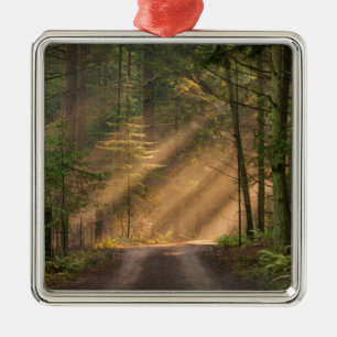 Sunlight Shining Through a Forest Metal Tree Decoration