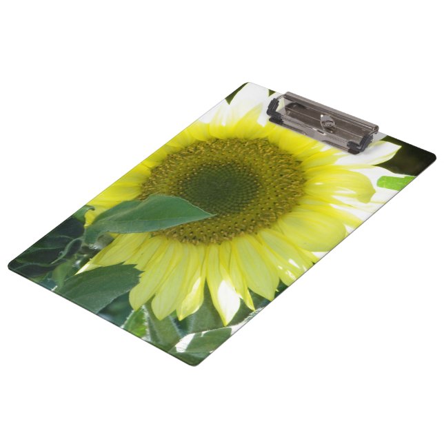 Sunlight Sunflower Clipboard (Angled)