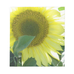 Sunlight Sunflower Notepad