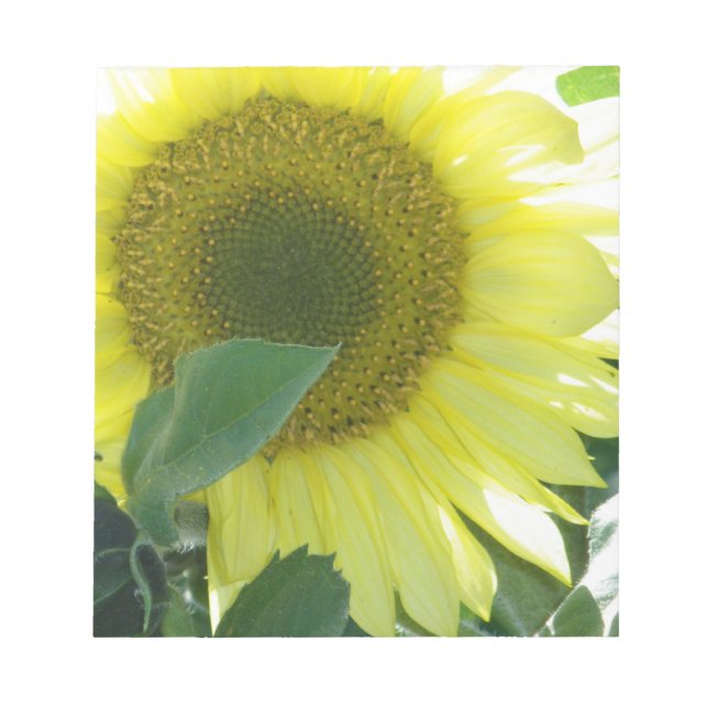 Sunlight Sunflower Notepad (Front)