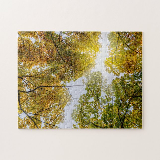 Sunlight Through Autumn Sugar Maples Jigsaw Puzzle (Horizontal)