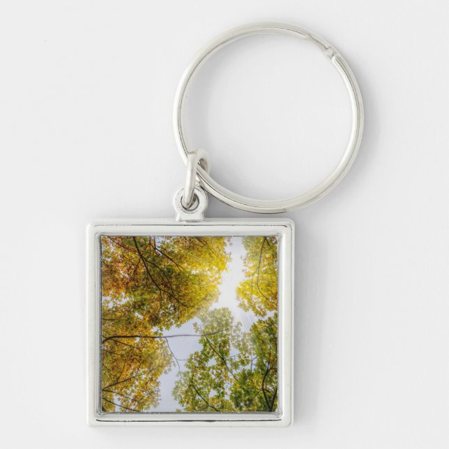 Sunlight Through Autumn Sugar Maples Key Ring (Front)