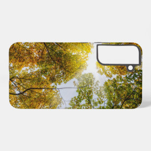 Sunlight Through Autumn Sugar Maples Samsung Case