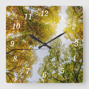 Sunlight Through Autumn Sugar Maples Wall Clock