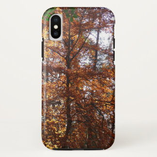 Sunlight Through Fall Tree at Greenbelt Case-Mate iPhone Case