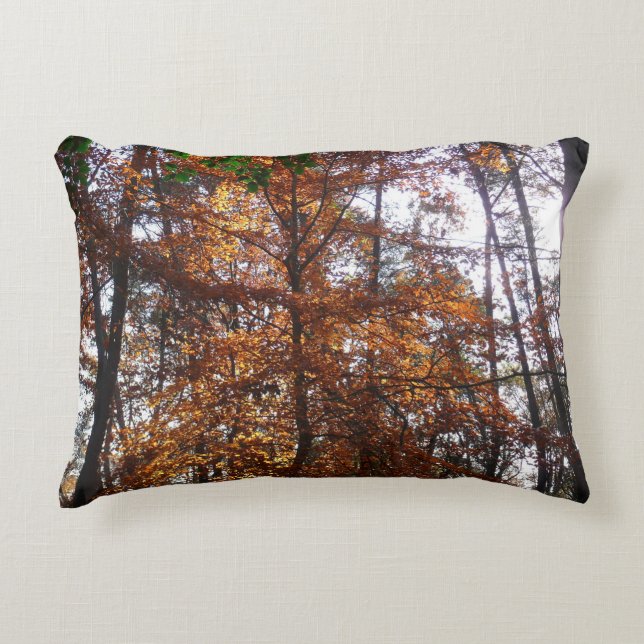 Sunlight Through Fall Tree at Greenbelt Decorative Cushion (Front)