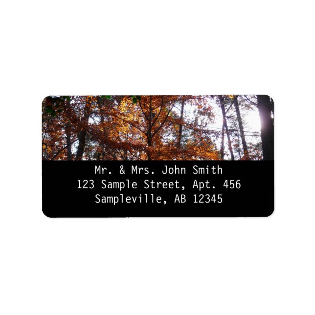 Sunlight Through Fall Tree at Greenbelt Label (Front)