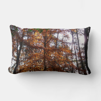 Sunlight Through Fall Tree at Greenbelt Lumbar Cushion
