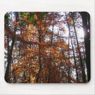 Sunlight Through Fall Tree at Greenbelt Mouse Pad