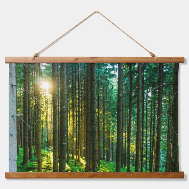 Sunlight Through Forest Trees  Hanging Tapestry (Front)
