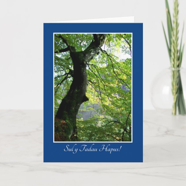 Sunlight Through Leaves: Father's Day Card: Welsh Card (Front)