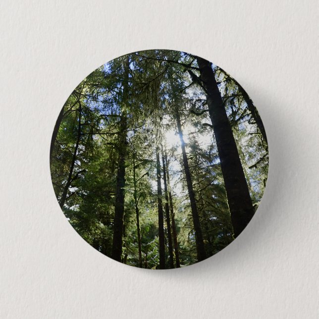 Sunlight Through Pine Trees 6 Cm Round Badge (Front)