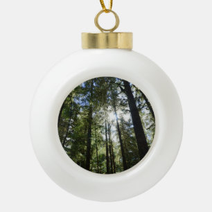 Sunlight Through Pine Trees Ceramic Ball Christmas Ornament