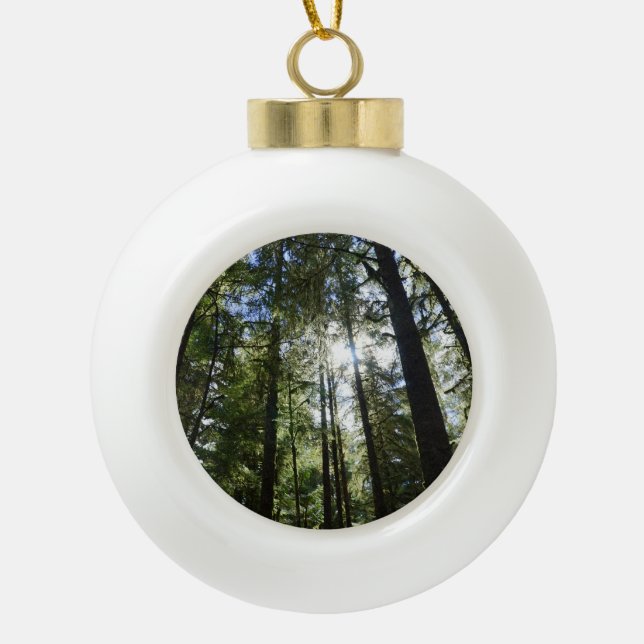 Sunlight Through Pine Trees Ceramic Ball Christmas Ornament (Front)