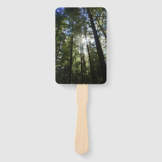 Sunlight Through Pine Trees Hand Fan
