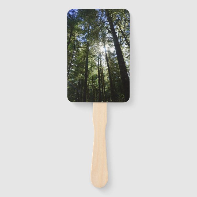 Sunlight Through Pine Trees Hand Fan (Front)