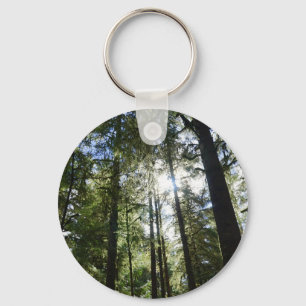 Sunlight Through Pine Trees Key Ring
