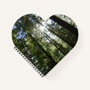Sunlight Through Pine Trees Notebook