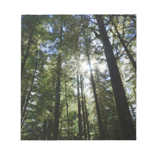 Sunlight Through Pine Trees Notepad