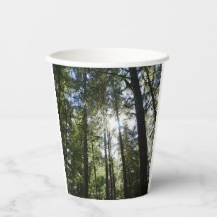 Sunlight Through Pine Trees Paper Cups