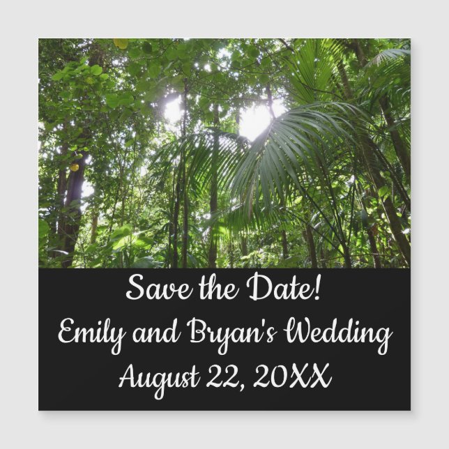 Sunlight Through Rainforest Canopy Save the Date (Front)