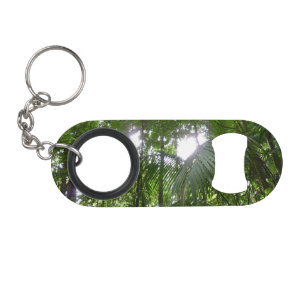 Sunlight Through Rainforest Canopy Tropical Green