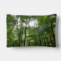 Sunlight Through Rainforest Canopy Tropical Green