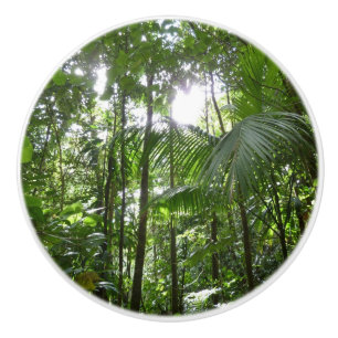 Sunlight Through Rainforest Canopy Tropical Green Ceramic Knob