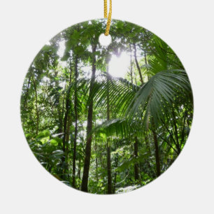Sunlight Through Rainforest Canopy Tropical Green Ceramic Tree Decoration