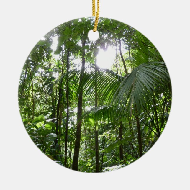 Sunlight Through Rainforest Canopy Tropical Green Ceramic Tree Decoration (Front)