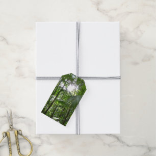 Sunlight Through Rainforest Canopy Tropical Green Gift Tags