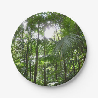 Sunlight Through Rainforest Canopy Tropical Green Paper Plate