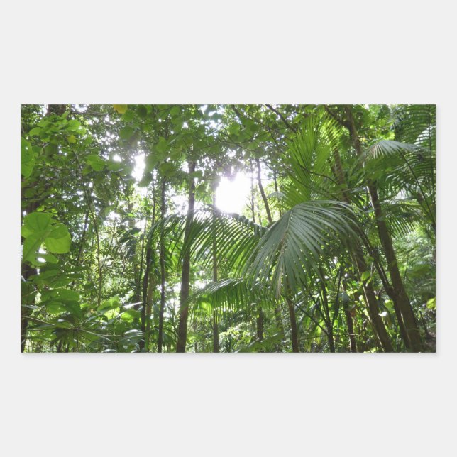 Sunlight Through Rainforest Canopy Tropical Green Rectangular Sticker (Front)