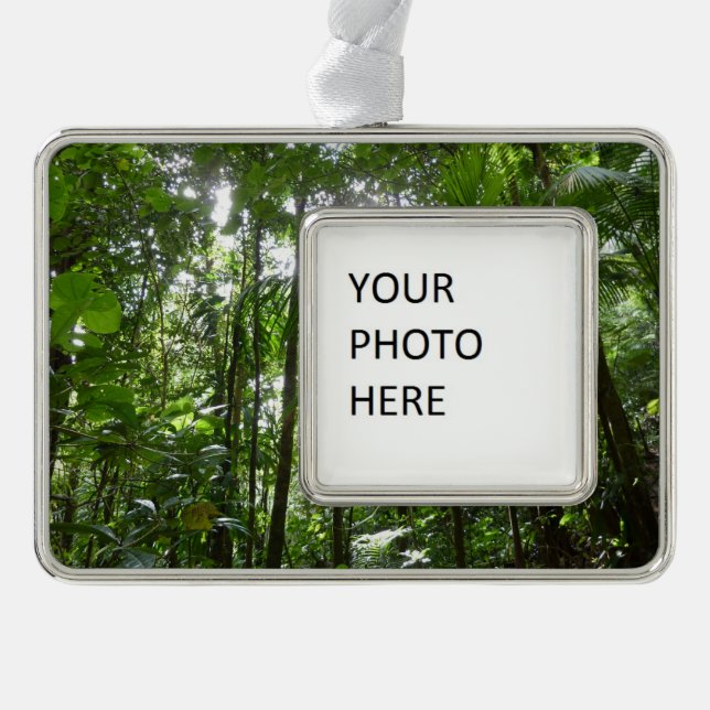 Sunlight Through Rainforest Canopy Tropical Green Silver Plated Framed Ornament (Front)