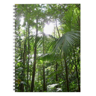Sunlight Through Rainforest Canopy Tropical Green Spiral Notebook
