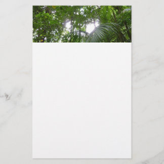 Sunlight Through Rainforest Canopy Tropical Green Stationery
