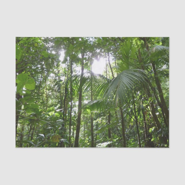 Sunlight Through Rainforest Canopy Tropical Green Tissue Paper (Front)