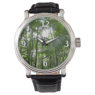 Sunlight Through Rainforest Canopy Tropical Green Watch