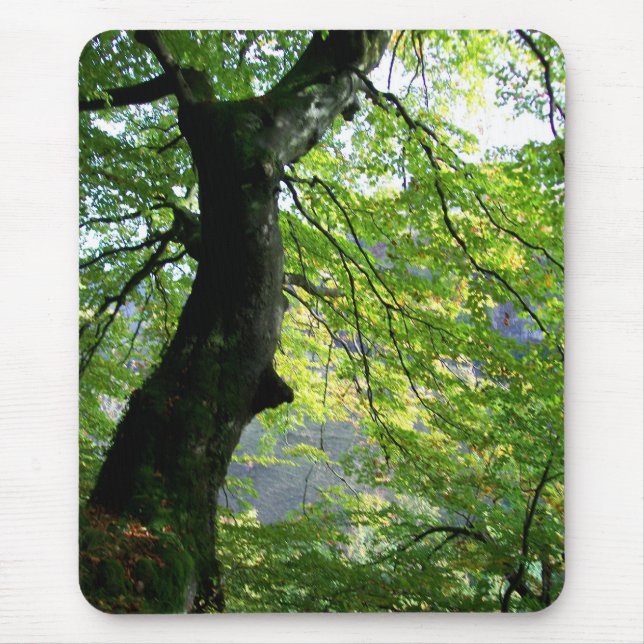 Sunlight through the Leaves Mousepad (Front)