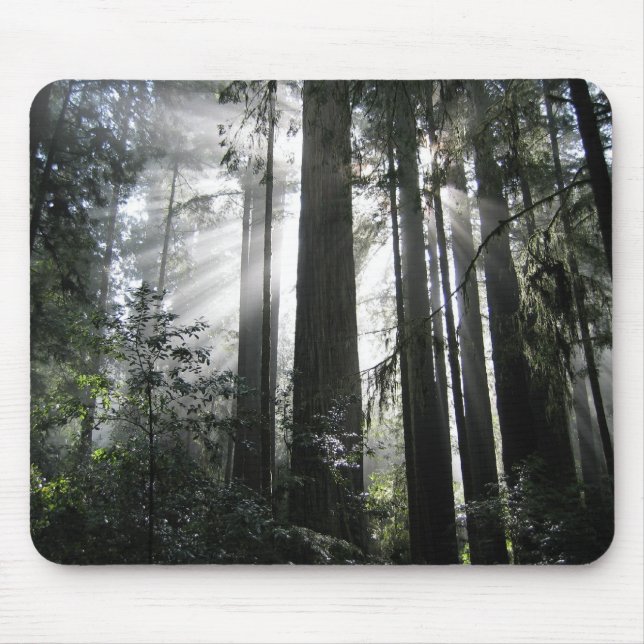 Sunlight through the Redwoods Mouse Pad (Front)