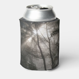 Sunlight Through Trees Dark Woodland Can Cooler