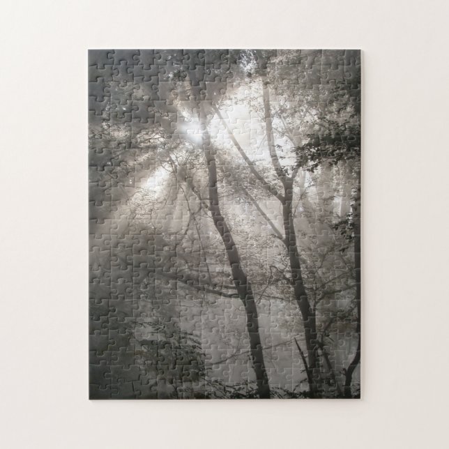 Sunlight Through Trees Jigsaw Puzzle (Vertical)