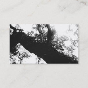 Sunlight Tree Black and White Photography Business Card