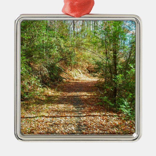 Sunlit Autumn Forest Trail Metal Tree Decoration (Front)
