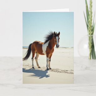 Sunlit Beach Fathers Day Card
