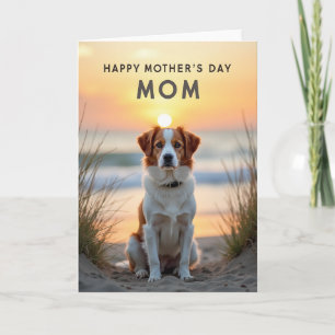 Sunlit Beach Mothers Day Card