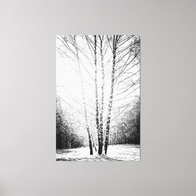 Sunlit Birch Trees In The Winter Forest Canvas Print (Front)