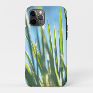 Sunlit Blades Case-Mate iPhone Case