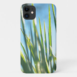 Sunlit Blades Case-Mate iPhone Case